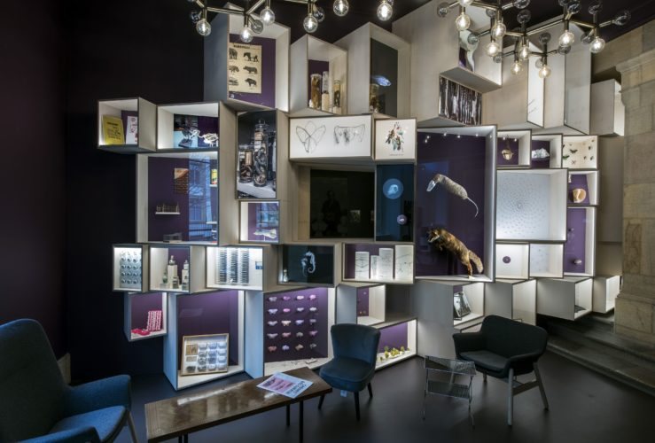 Mobilier Ébénisterie musée